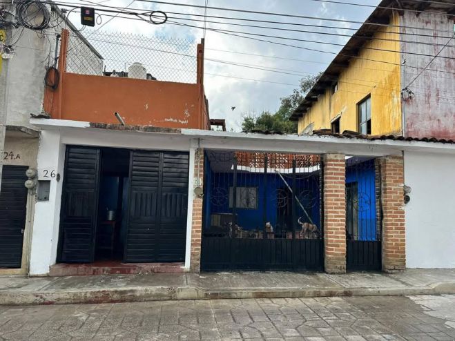Realizan trabajos de limpieza en casa protectora de animales en San Cristóbal de Las Casas