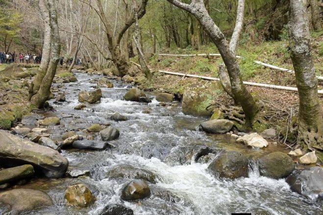 Cumplimentan amparo 1493/2019 con recorrido por la Reserva Quemv&oacute; Cuxtitali