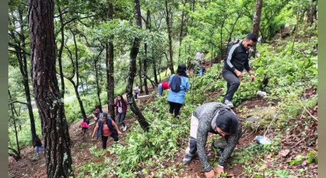 Continúan campañas de reforestación en San Cristóbal de Las Casas