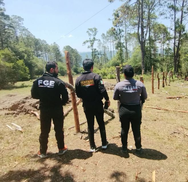 Despliegan operativo contra tala ilegal en comunidades de Huixtán 
