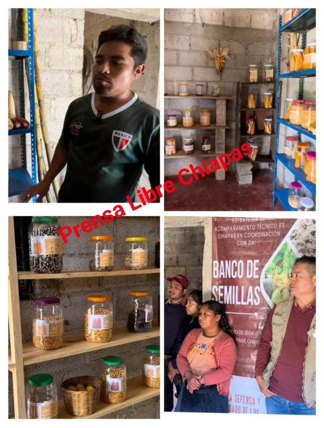 En Santiago el Pinar inauguran banco comunitario de semillas
