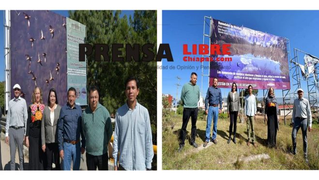 REFUERZA AYUNTAMIENTO PROMOCIÓN PARA LA CONSERVACIÓN DE HUMEDALES EN SAN CRISTÓBAL
