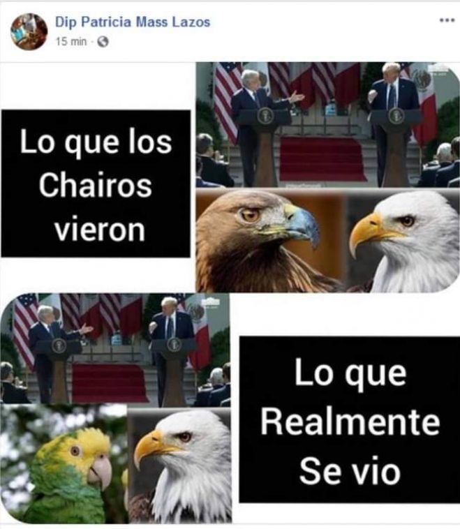 Se echa pa´tras Diputada Patricia Mass por meme ofensivo a AMLO publicado en su Facebook