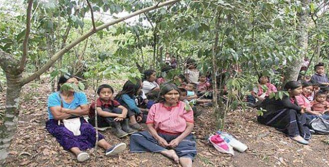 En riesgo la infancia de comunidades tsotsiles en desplazamiento