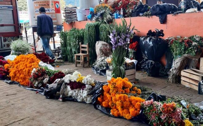 REPORTAN REDUCCIÓN DEL 60 POR CIENTO EN VENTAS DE FLORES