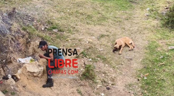 Personas sin hogar buscan refugio bajo puentes en San Crist&oacute;bal 