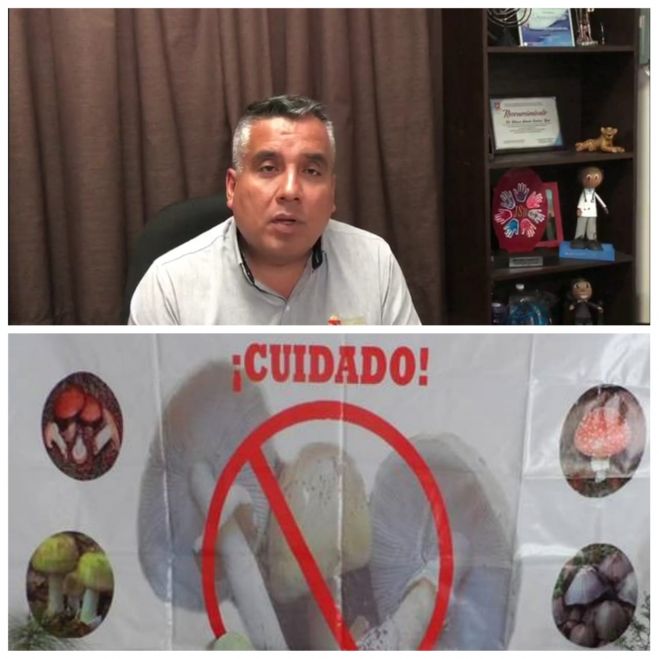 Mueren cuatro de siete personas intoxicadas por consumir hongos silvestres en Huixt&aacute;n