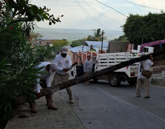 Fuerte lluvia y viento provocan caída de ramas y árboles en Venustiano Carranza