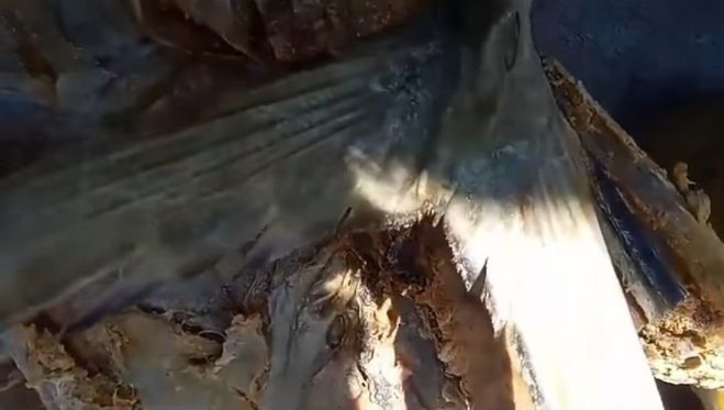 Alertan por venta de pescado en mal estado en mercado Jos&eacute; Castillo