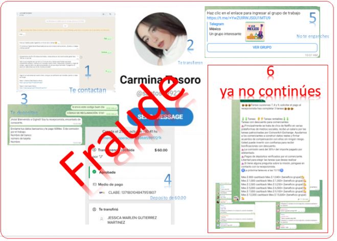Adem&aacute;s de lo fraudulento a trav&eacute;s de la compra y manutenci&oacute;n de publicidad en YouTube, Netflix o cualquier otra empresa reconocida la plataforma atrae v&iacute;ctimas con inversiones en criptomonedas