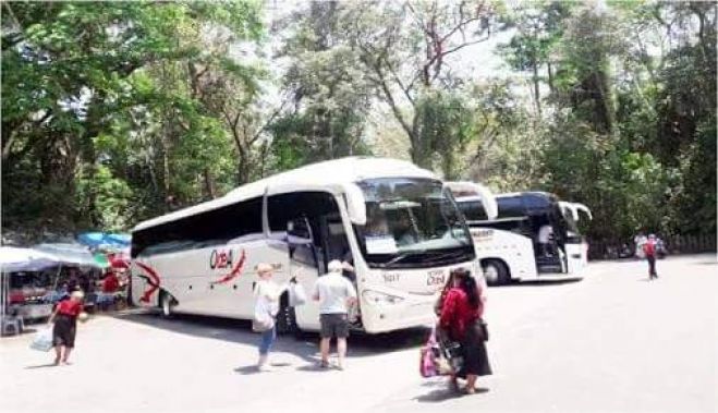 Se activan medidas de seguridad en la carretera Ocosingo - Palenque