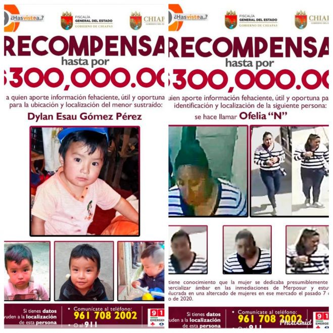 INFORMA FISCAL GENERAL AVANCES DE INVESTIGACI&Oacute;N POR LA DESAPARICI&Oacute;N DEL MENOR DYLAN ESA&Uacute;