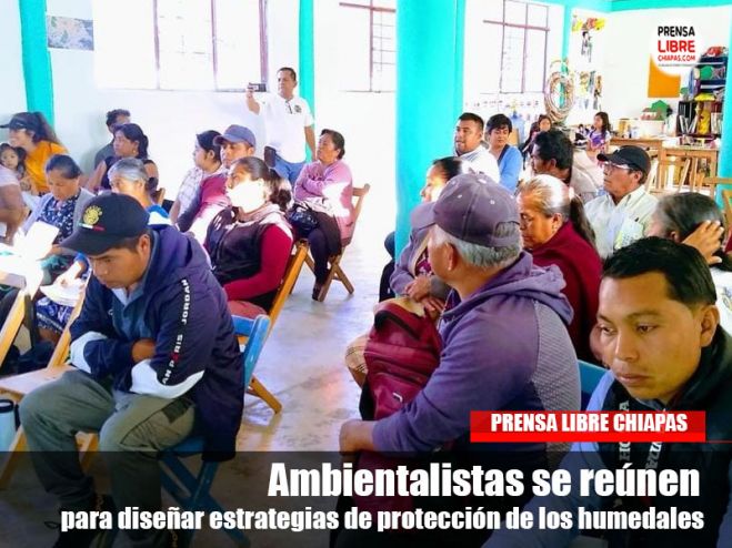 Ambientalistas se reúnen para diseñar estrategias de protección de los humedales