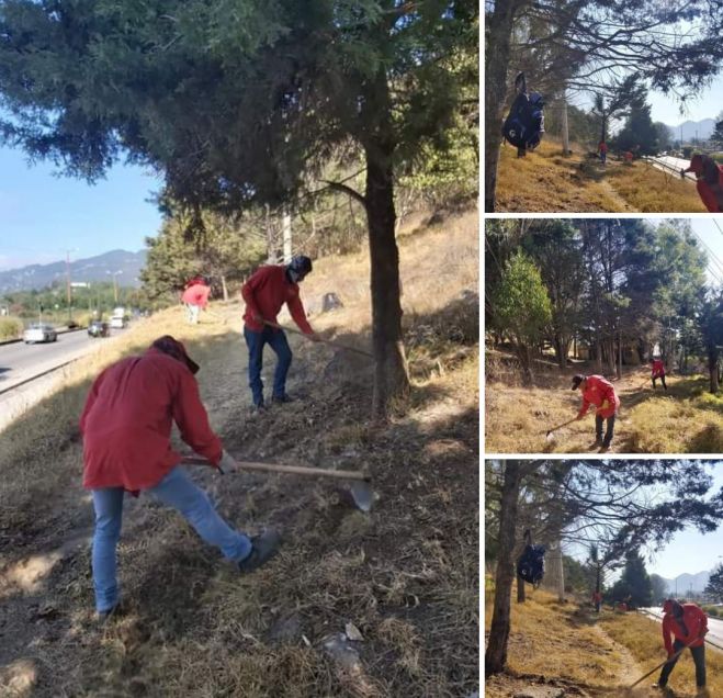 LA DIRECCIÓN DE ECOLOGÍA Y MEDIO AMBIENTE COMENZÓ CON ACCIONES PREVENTIVAS DE INCENDIOS FORESTALES