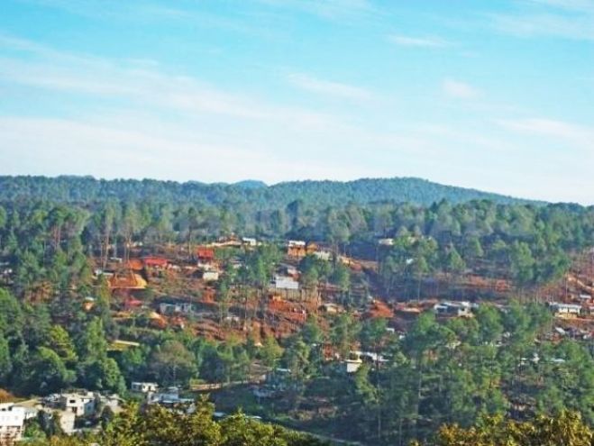 Advierten sobre una nueva invasi&oacute;n en reserva ecol&oacute;gica