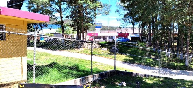 La Colectiva Cereza, organizaciones y voluntarios reunieron la multa y fianza. 