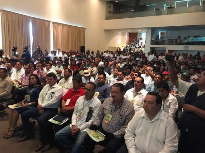 Un éxito el II Foro Nacional del  Sistema Producto Limón Persa 