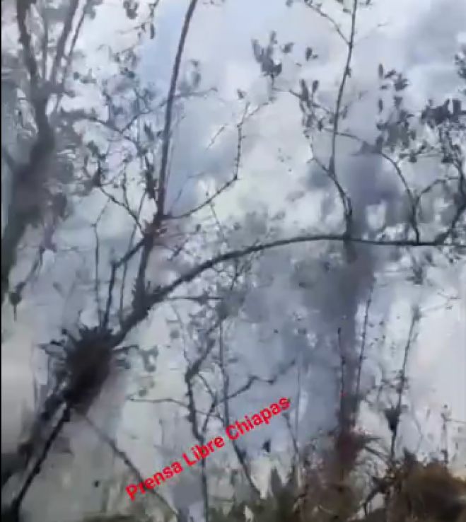 Incendio consume más de 45 hectáreas de bosque 