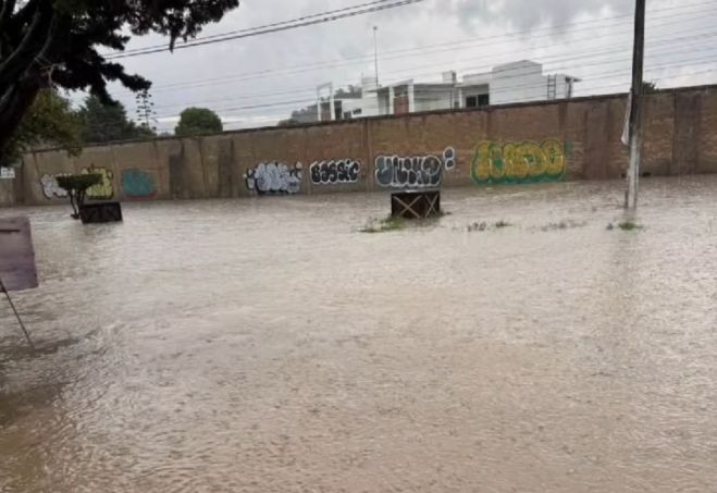 Lluvia intensa provoca inundaciones y ca&iacute;da de &aacute;rbol en SCLC