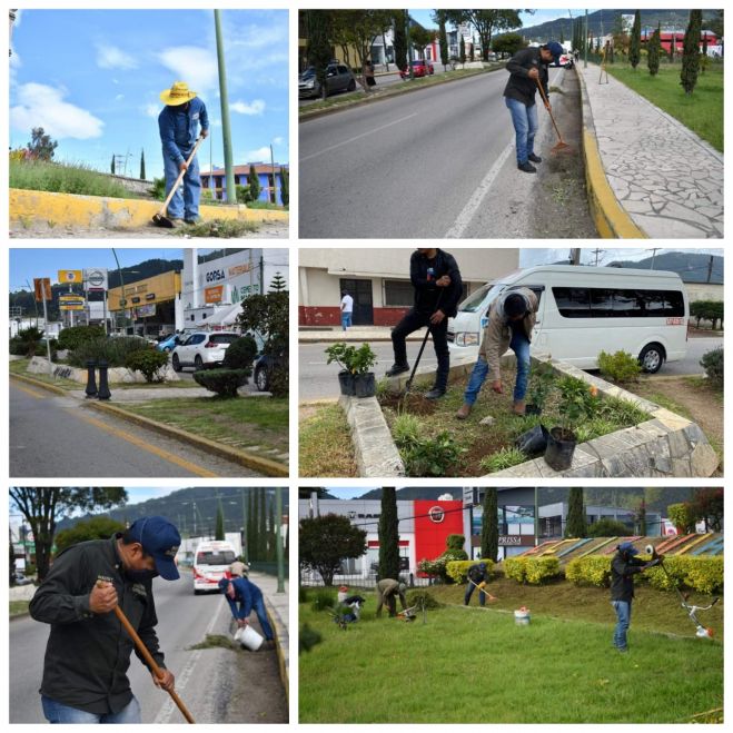 AYUNTAMIENTO DE SAN CRIST&Oacute;BAL REALIZA MANTENIMIENTO EN CAMELLONES Y JARDINES DEL BOULEVARD JUAN SABINES