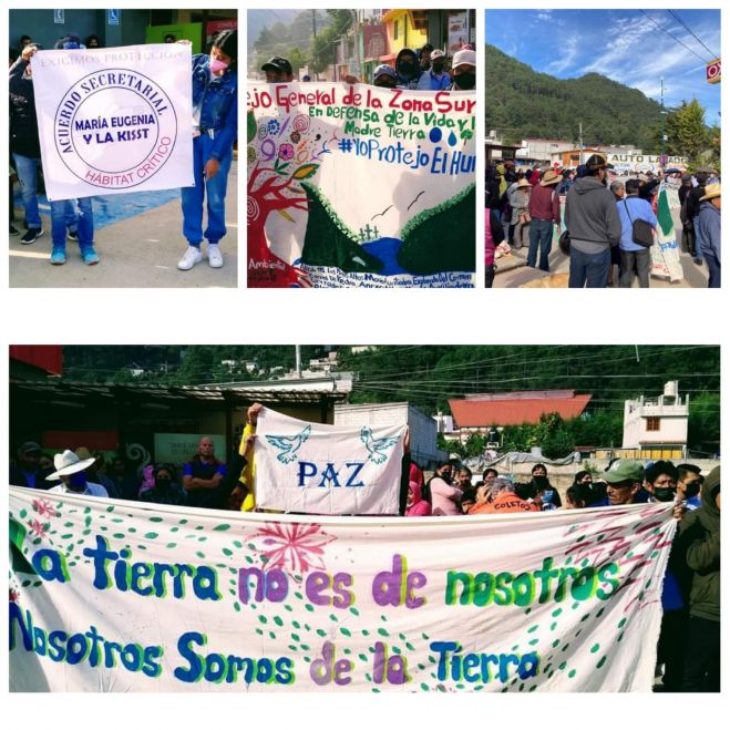 Contin&uacute;a la destrucci&oacute;n cotidiana de estos espacios naturales por intereses inmobiliarios