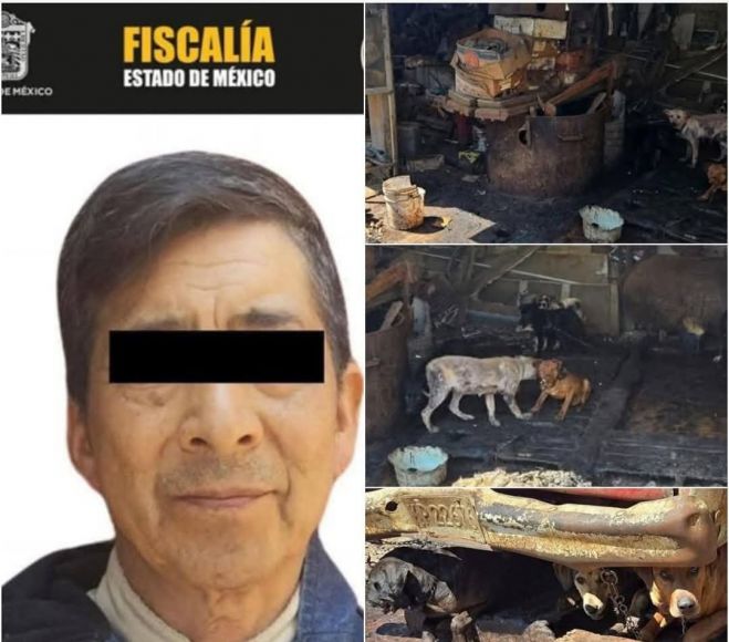VENDIA CARNE DE PERRO EN EL ESTADO DE MEXICO, EL RESPONSABLE YA ESTÁ DETENIDO.