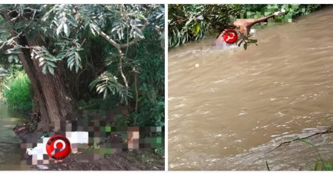 Dos persona y dos equinos fueron alcanzados por un rayo.