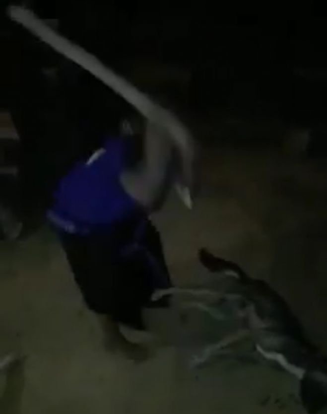 Dos personas ind&iacute;genas los golpean cruelmente hasta matarlos.