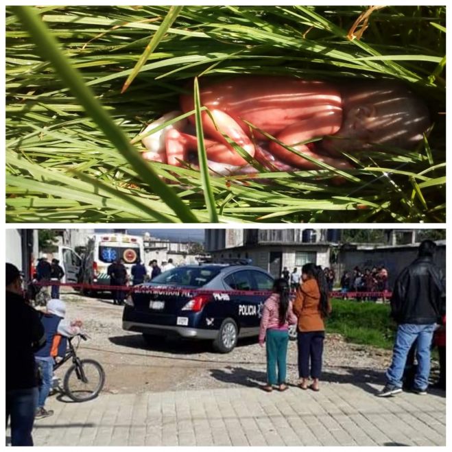 Encuentran sin vida cuerpo de reci&eacute;n nacido en la orilla de un r&iacute;o